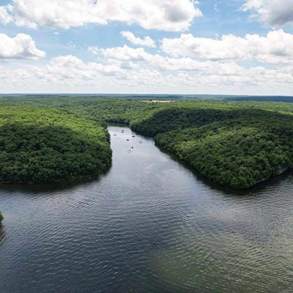 A panoramic river view surrounded by lush greenery and dotted with boats, inviting guests to boat, fish, or hike along the water's edge. The expansive scene offers a sense of space and connection to nature, with the potential for wildlife observation and stargazing.